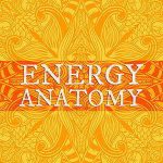 Energy Anatomy