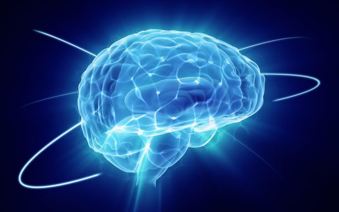 The Science of Happiness and Your Amazing Brain The Science of Happiness and Your Amazing Brain