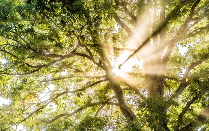 Finding Your Unique Spiritual Path Finding Your Unique Spiritual Path