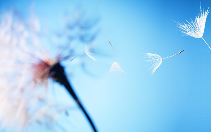 Your Spiritual Path: “Push” vs “Pull” Your Spiritual Path: “Push” vs “Pull”