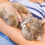 Can Pets Can Change Your Life?
