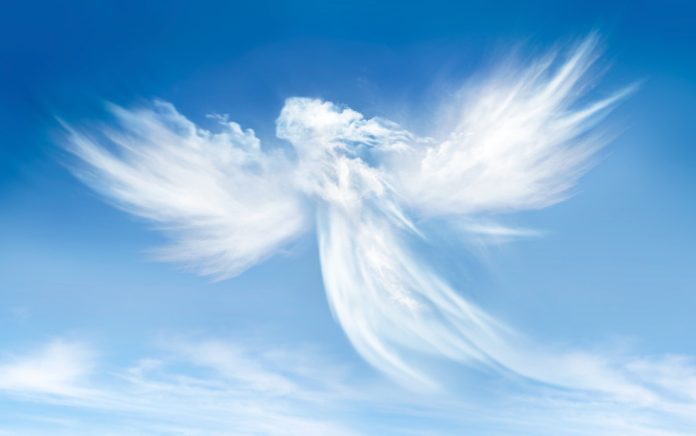 Your Amazing Soul Your Amazing Soul