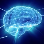 The Science of Happiness and Your Amazing Brain The Science of Happiness and Your Amazing Brain