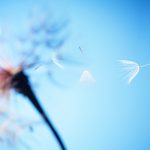 Your Spiritual Path: “Push” vs “Pull” Your Spiritual Path: “Push” vs “Pull”